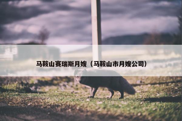 马鞍山赛瑞斯月嫂（马鞍山市月嫂公司）