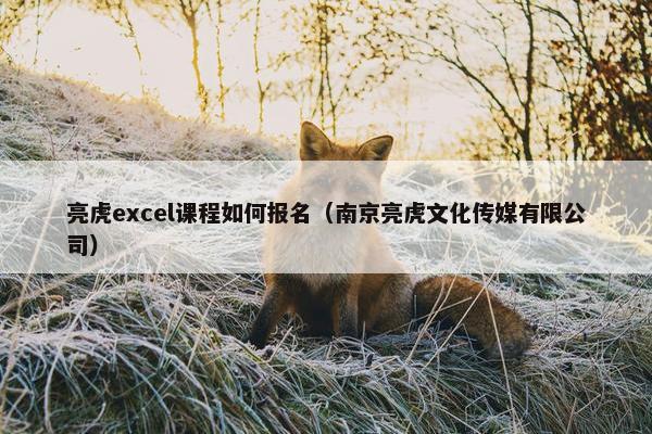 亮虎excel课程如何报名（南京亮虎文化传媒有限公司）