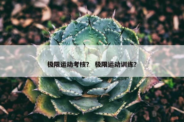 极限运动考核？ 极限运动训练？