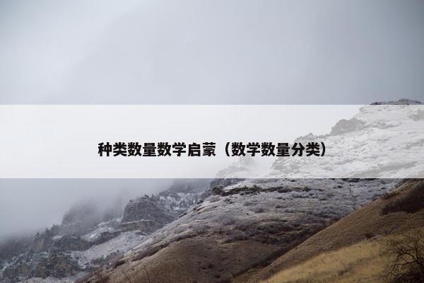 种类数量数学启蒙（数学数量分类）
