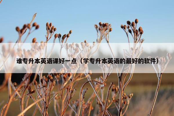 谁专升本英语课好一点（学专升本英语的最好的软件）