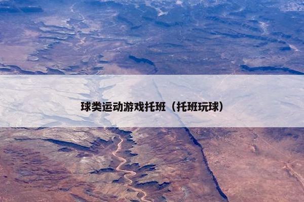 球类运动游戏托班（托班玩球）