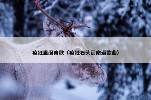 疯狂里闽南歌（疯狂石头闽南语歌曲）