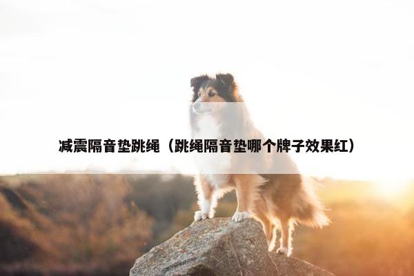 减震隔音垫跳绳（跳绳隔音垫哪个牌子效果红）