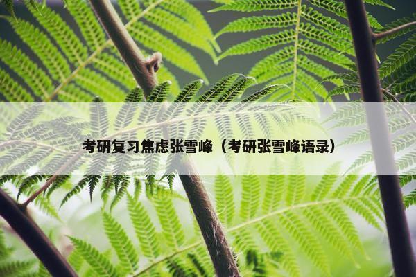 考研复习焦虑张雪峰（考研张雪峰语录）
