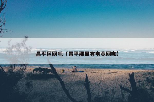 昌平区网吧（昌平那里有电竞网咖）