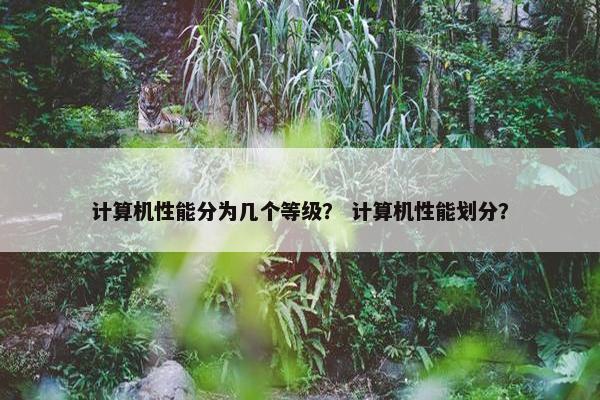 计算机性能分为几个等级？ 计算机性能划分？