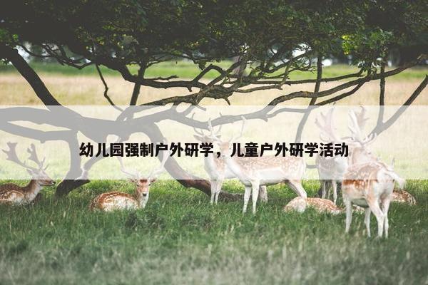 幼儿园强制户外研学，儿童户外研学活动