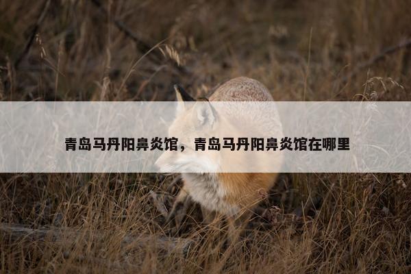 青岛马丹阳鼻炎馆，青岛马丹阳鼻炎馆在哪里