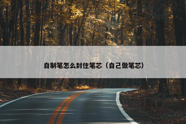 自制笔怎么封住笔芯（自己做笔芯）