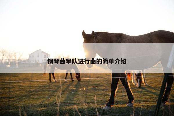 钢琴曲军队进行曲的简单介绍