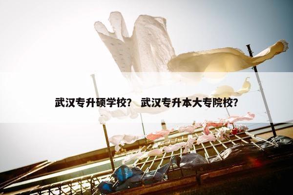 武汉专升硕学校？ 武汉专升本大专院校？