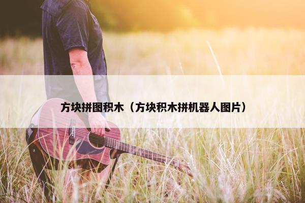 方块拼图积木（方块积木拼机器人图片）