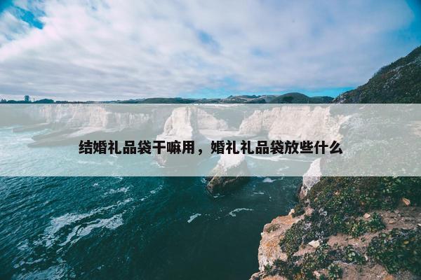 结婚礼品袋干嘛用，婚礼礼品袋放些什么