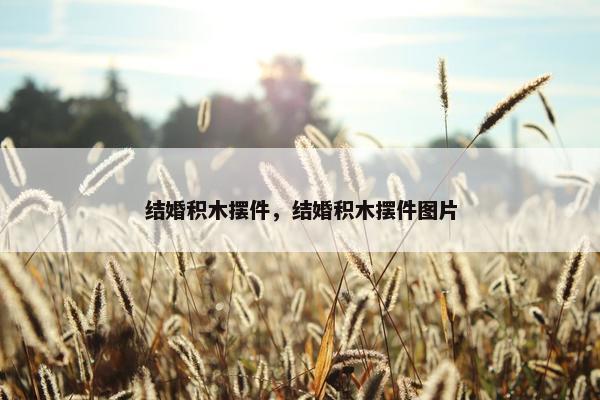结婚积木摆件，结婚积木摆件图片