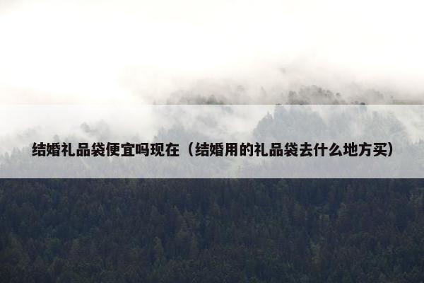 结婚礼品袋便宜吗现在（结婚用的礼品袋去什么地方买）