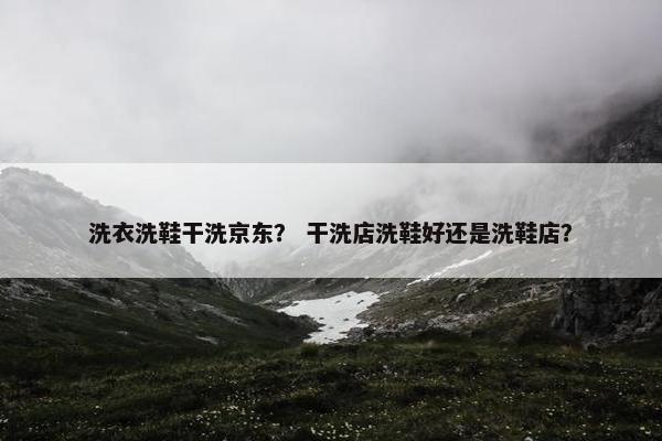 洗衣洗鞋干洗京东？ 干洗店洗鞋好还是洗鞋店？