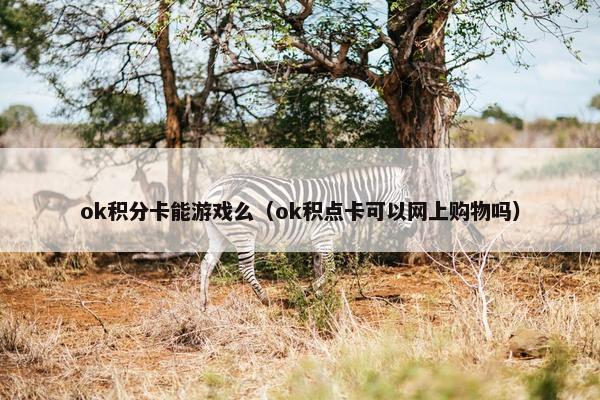 ok积分卡能游戏么（ok积点卡可以网上购物吗）