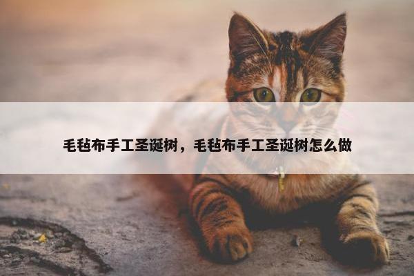 毛毡布手工圣诞树，毛毡布手工圣诞树怎么做