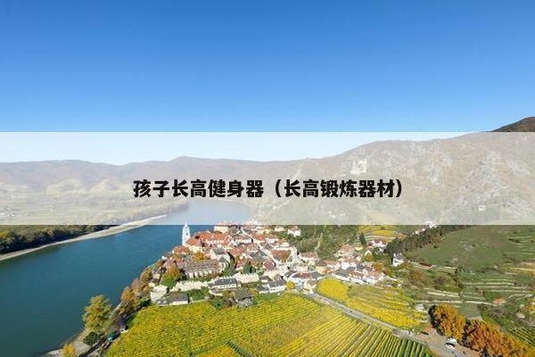 孩子长高健身器（长高锻炼器材）