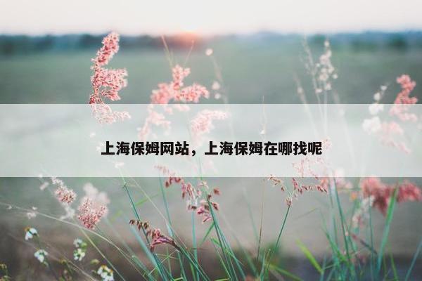 上海保姆网站，上海保姆在哪找呢