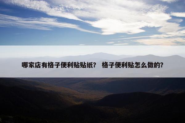 哪家店有格子便利贴贴纸？ 格子便利贴怎么做的？