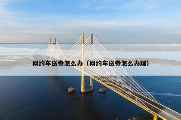 网约车送券怎么办（网约车送券怎么办理）