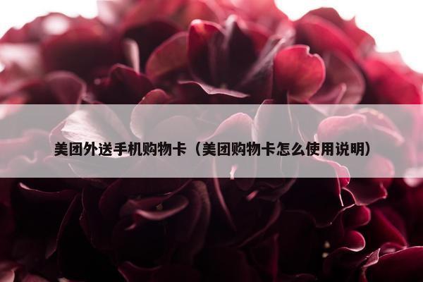 美团外送手机购物卡（美团购物卡怎么使用说明）