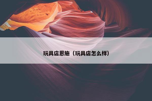 玩具店恩施（玩具店怎么样）