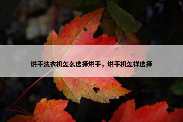 烘干洗衣机怎么选择烘干，烘干机怎样选择