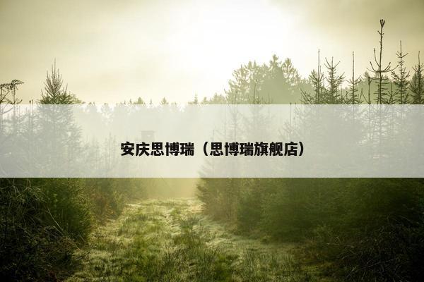 安庆思博瑞（思博瑞旗舰店）