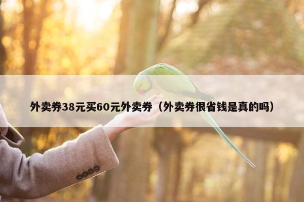 外卖券38元买60元外卖券（外卖券很省钱是真的吗）