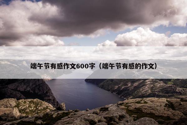 端午节有感作文600字（端午节有感的作文）