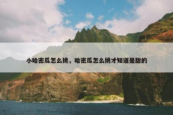 小哈密瓜怎么挑，哈密瓜怎么挑才知道是甜的