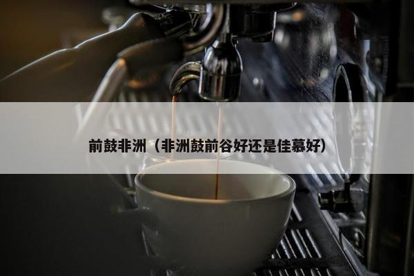 前鼓非洲（非洲鼓前谷好还是佳慕好）
