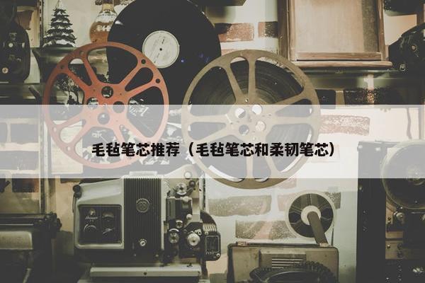 毛毡笔芯推荐（毛毡笔芯和柔韧笔芯）