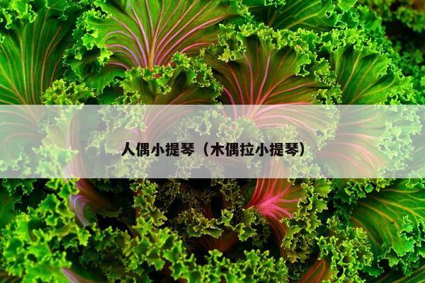 人偶小提琴（木偶拉小提琴）