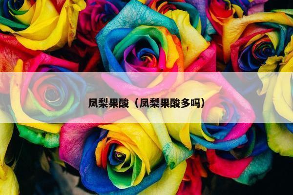 凤梨果酸（凤梨果酸多吗）