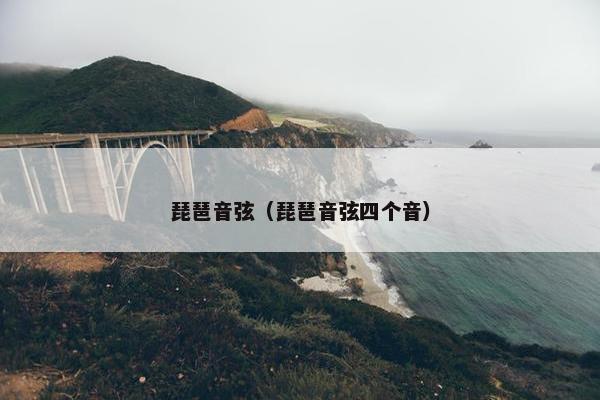 琵琶音弦（琵琶音弦四个音）
