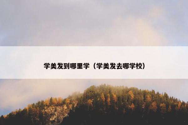学美发到哪里学（学美发去哪学校）