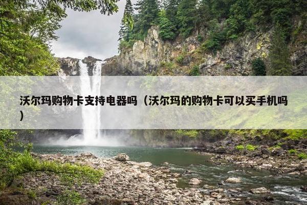 沃尔玛购物卡支持电器吗（沃尔玛的购物卡可以买手机吗）