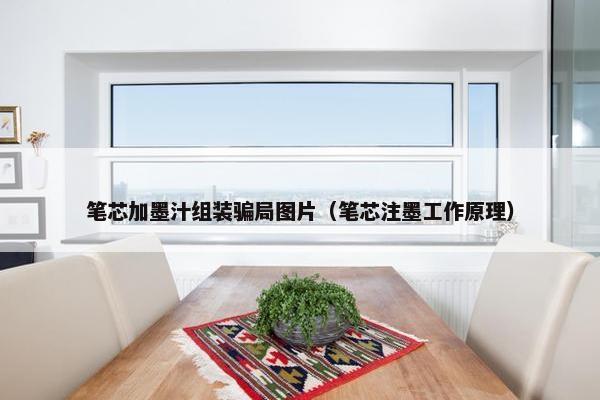 笔芯加墨汁组装骗局图片（笔芯注墨工作原理）