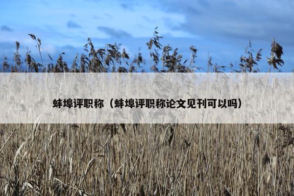 蚌埠评职称（蚌埠评职称论文见刊可以吗）