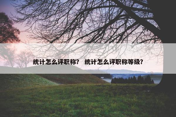统计怎么评职称？ 统计怎么评职称等级？