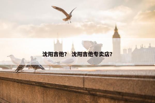 沈阳吉他？ 沈阳吉他专卖店？