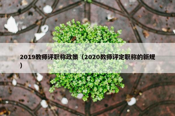 2019教师评职称政策（2020教师评定职称的新规）