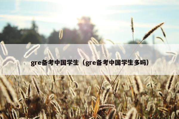 gre备考中国学生（gre备考中国学生多吗）