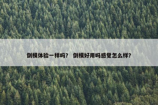 倒模体验一样吗？ 倒模好用吗感觉怎么样？