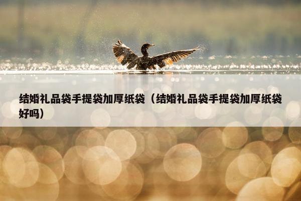 结婚礼品袋手提袋加厚纸袋（结婚礼品袋手提袋加厚纸袋好吗）