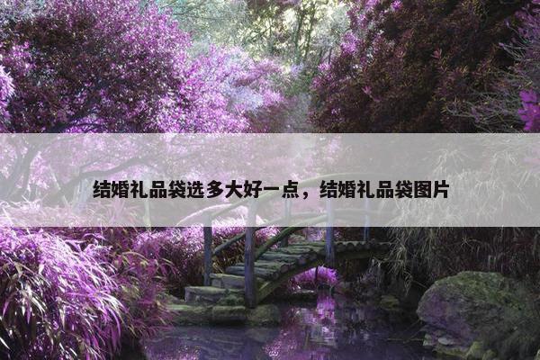 结婚礼品袋选多大好一点，结婚礼品袋图片